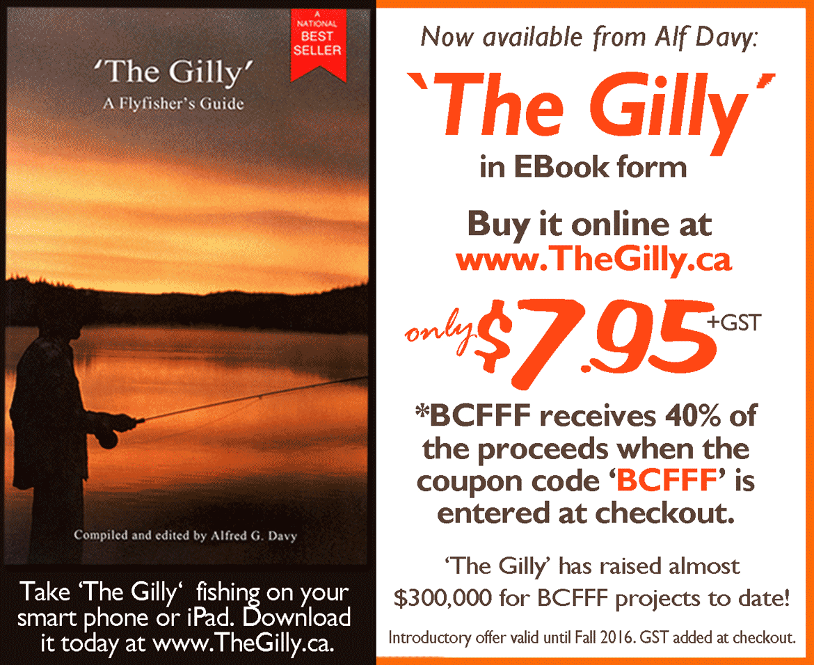 The Gilly coupon